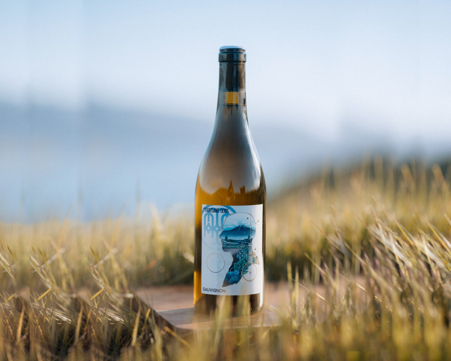 2019 Sauvignon