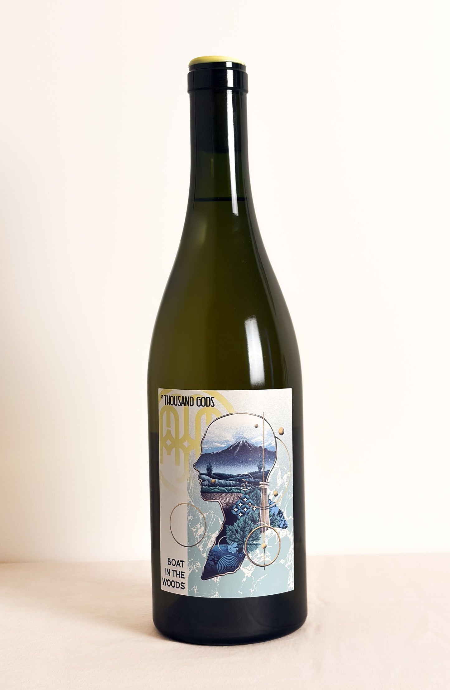 2024 Boat in the Woods